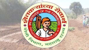 📑 मंगरुळपीर तालुका कृषी विभागात कागदावर ‘ऑल इज वेल’; मात्र शेतकऱ्यांच्या समस्या ‘जैसे थे’..!