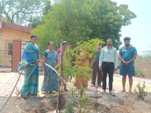 पर्यावरण रक्षणासाठी नेवरगावकरांचा पुढाकार; वृक्षारोपणातून दिला हरित संदेश,