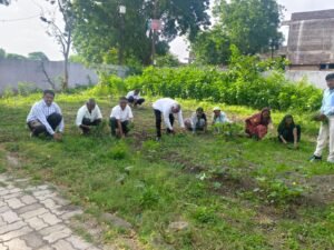 बोरावल बुद्रुक जिल्हा परिषद शाळेत स्वच्छता अभियानाची उत्साहात सुरुवात!