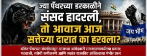 ज्या पँथरच्या डरकाळीने संसद हादरली, तो आवाज हरवला?