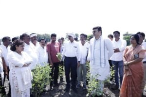 धापेवाड्यात आमदार थेट शेतकऱ्यांच्या बांधावर पिकांची केली पाहणी !