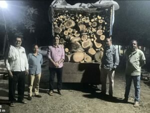 कोळन्हावी नाक्यावर मोठी कारवाई; ३.१० लाखांचा मुद्देमाल जप्त!