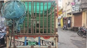 यावलमध्ये भटक्या कुत्र्यांसाठी अनोखी मोहीम मानवीय पद्धतीने नियंत्रण !
